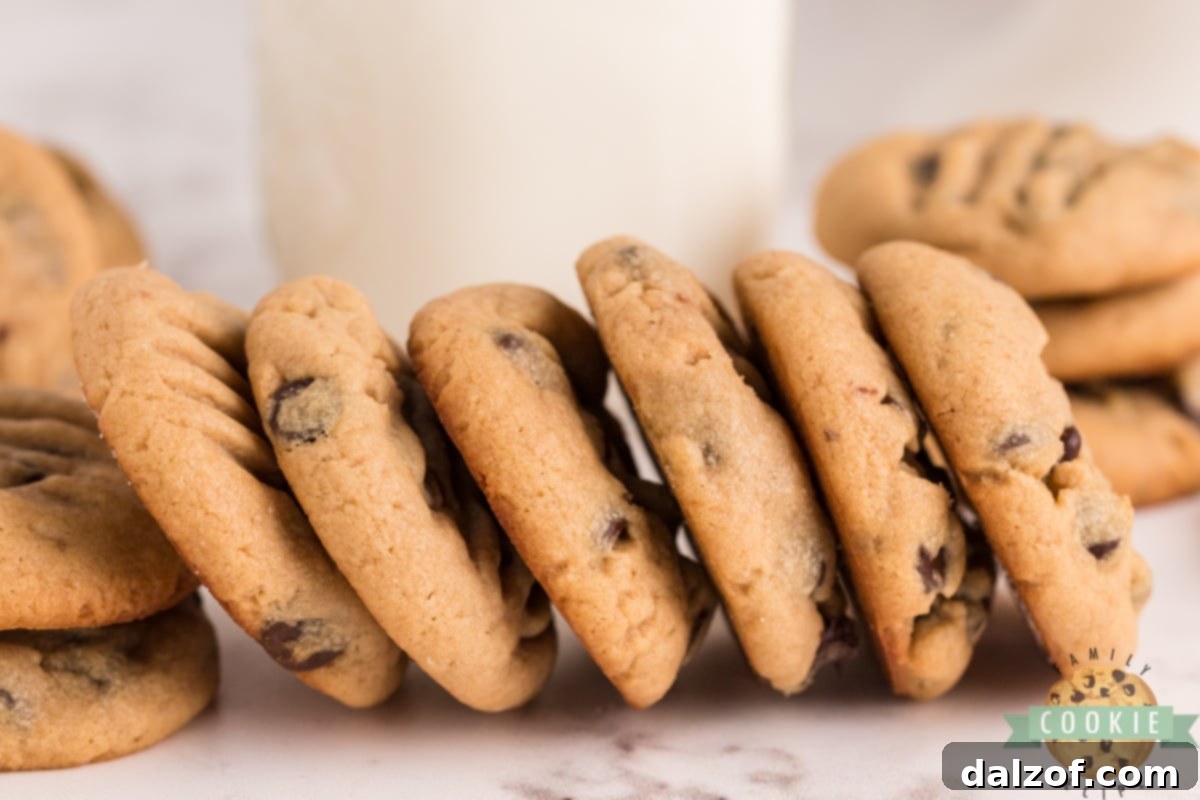 Stack of freshly baked Peanut Butter Chocolate Chip Cookies ready to be eaten.