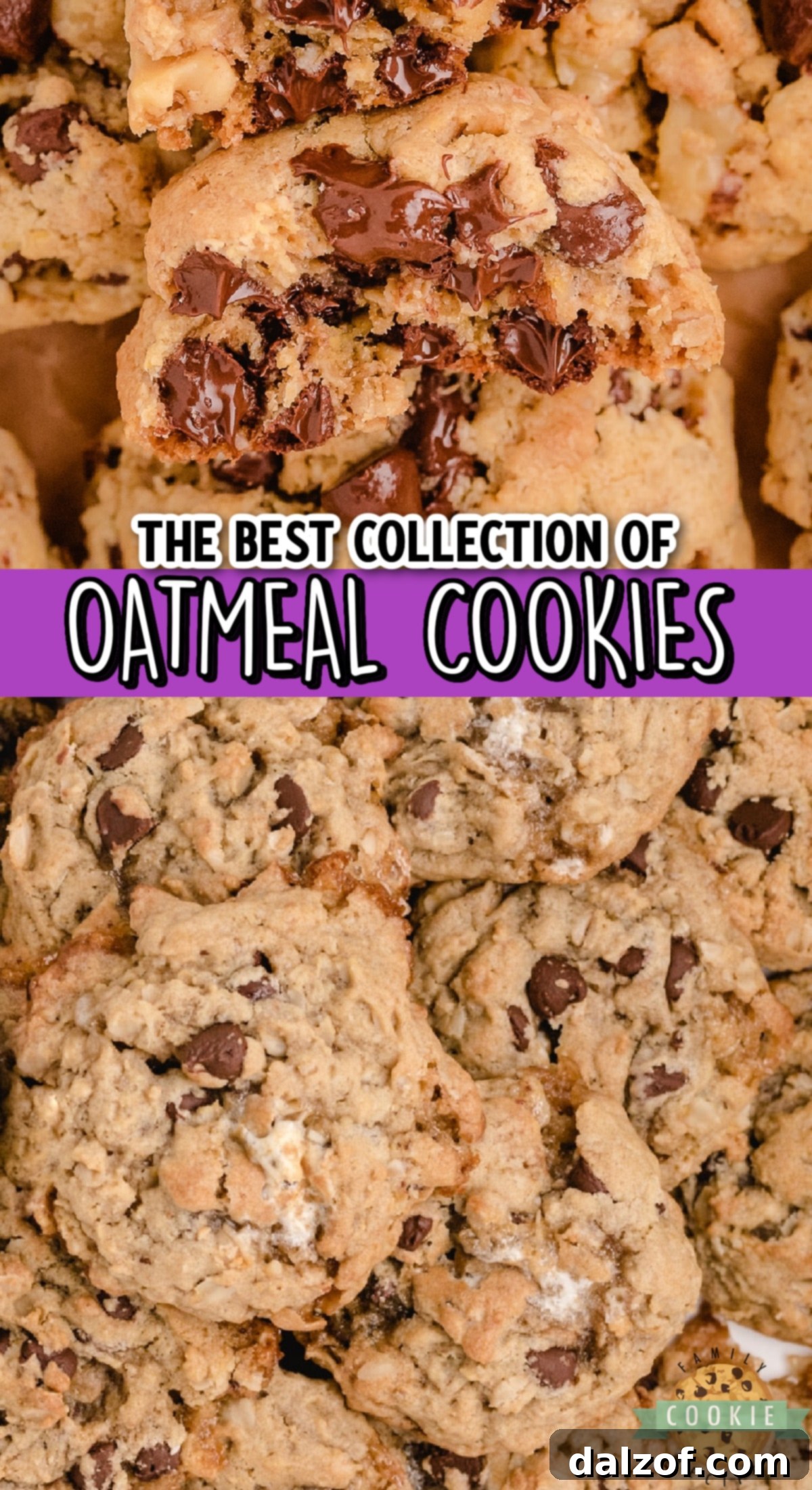 A vibrant collection of various homemade oatmeal cookies, showcasing different flavors and textures