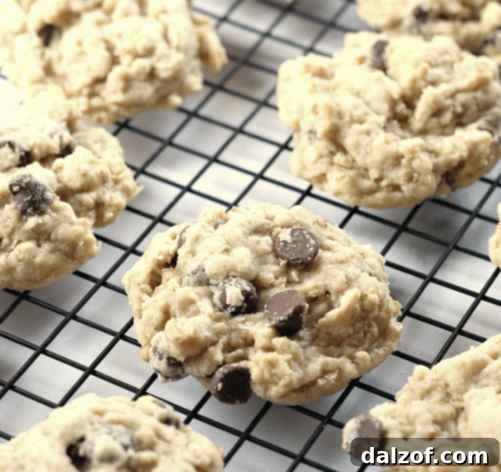 Chewy oatmeal chocolate chip cookies, a timeless family favorite