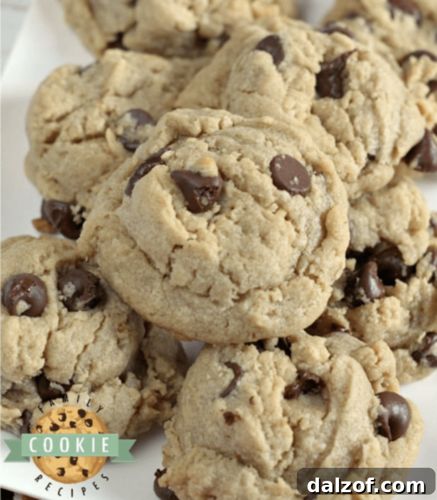 Thick and chewy peanut butter oatmeal chocolate chip cookies, combining three favorite flavors