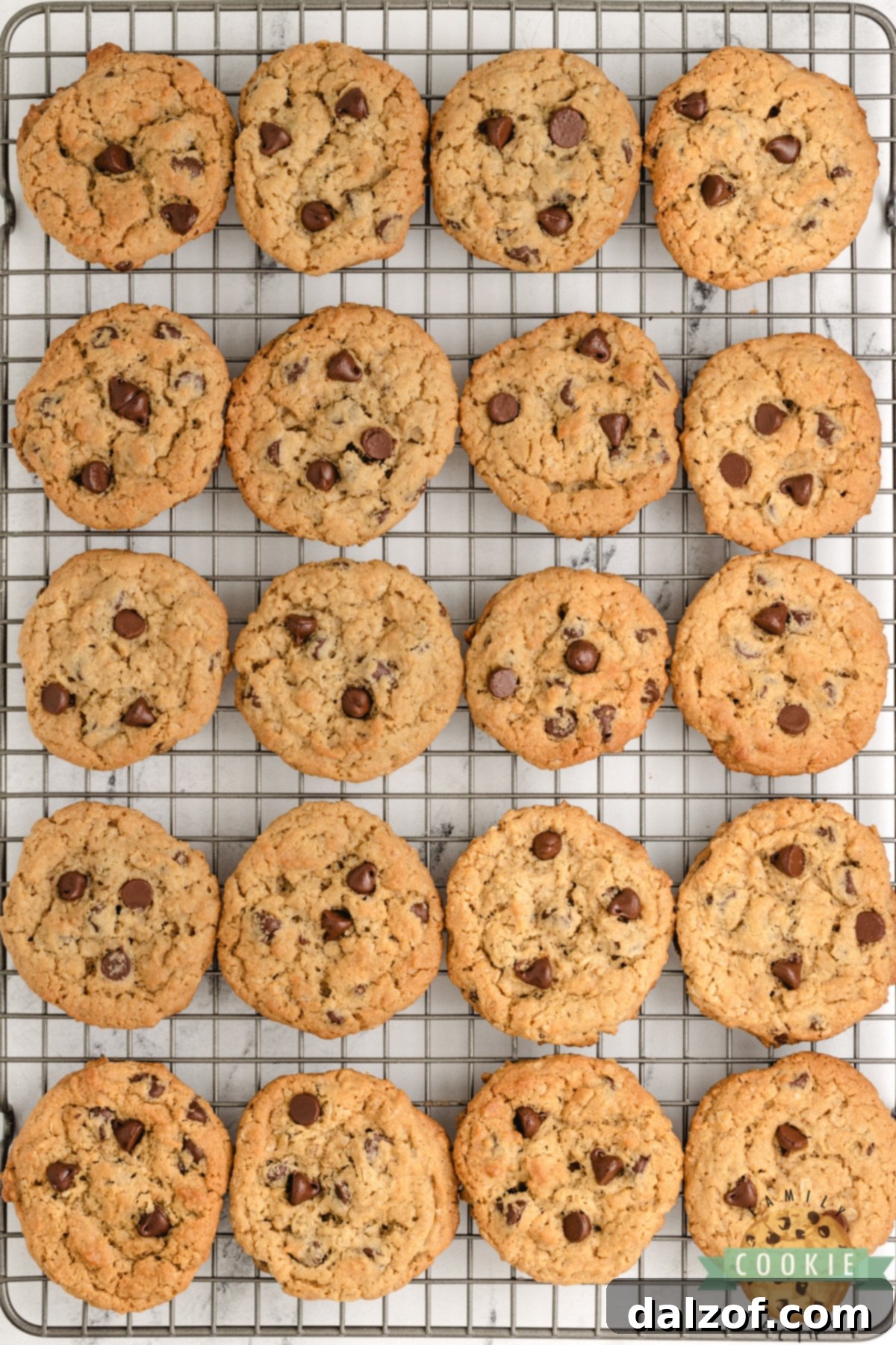 Freshly baked Peanut Butter Oatmeal Chocolate Chip Cookies cooling on a wire rack after being removed from the oven.