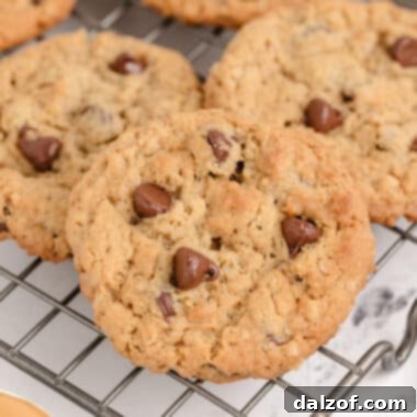 Peanut Butter Oatmeal Chocolate Chip Cookies – a perfect blend of three classic flavors in one cookie.