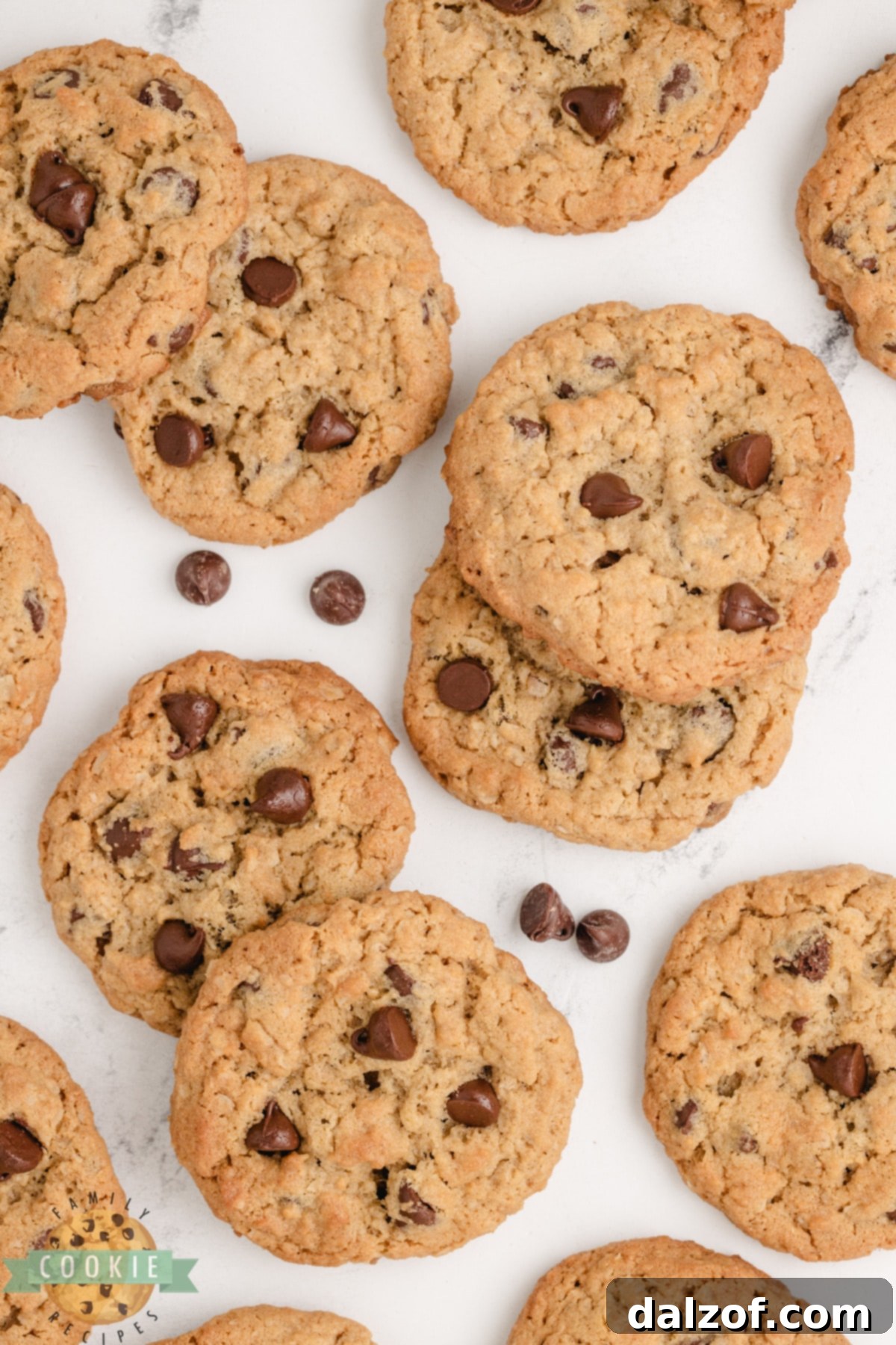 Close-up of baked Peanut Butter Oatmeal Chocolate Chip Cookies, highlighting their rich, chewy texture with visible oats and melted chocolate chips.