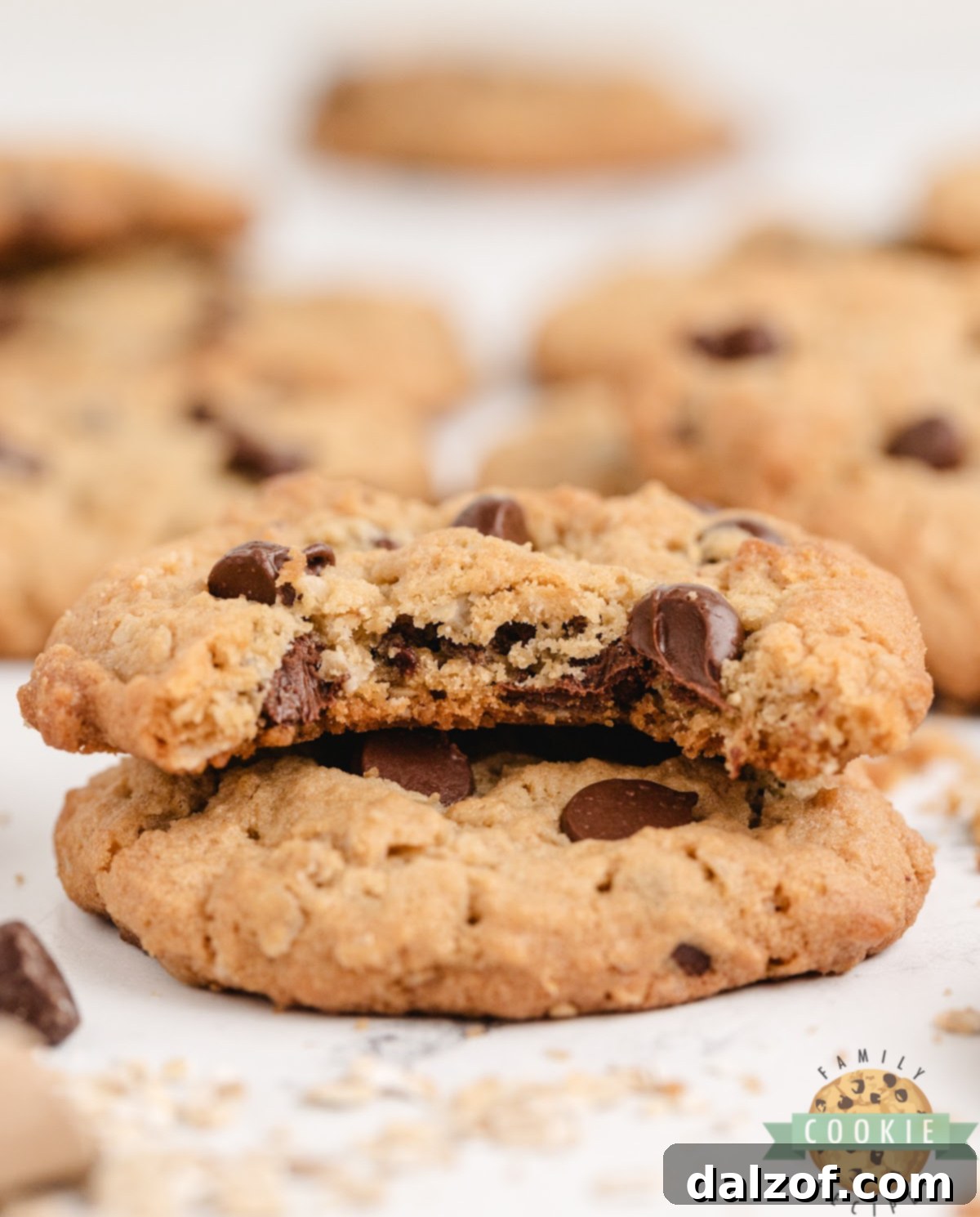 Beautifully textured Peanut Butter Oatmeal Chocolate Chip Cookies on a white plate, highlighting their soft and chewy interior with melted chocolate.