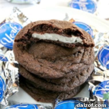 Delicious Chocolate Mint Cookies