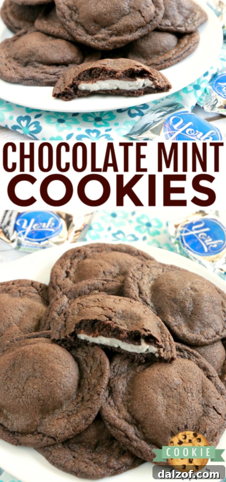 A beautifully arranged batch of Chocolate Mint Cookies, ready to be enjoyed.