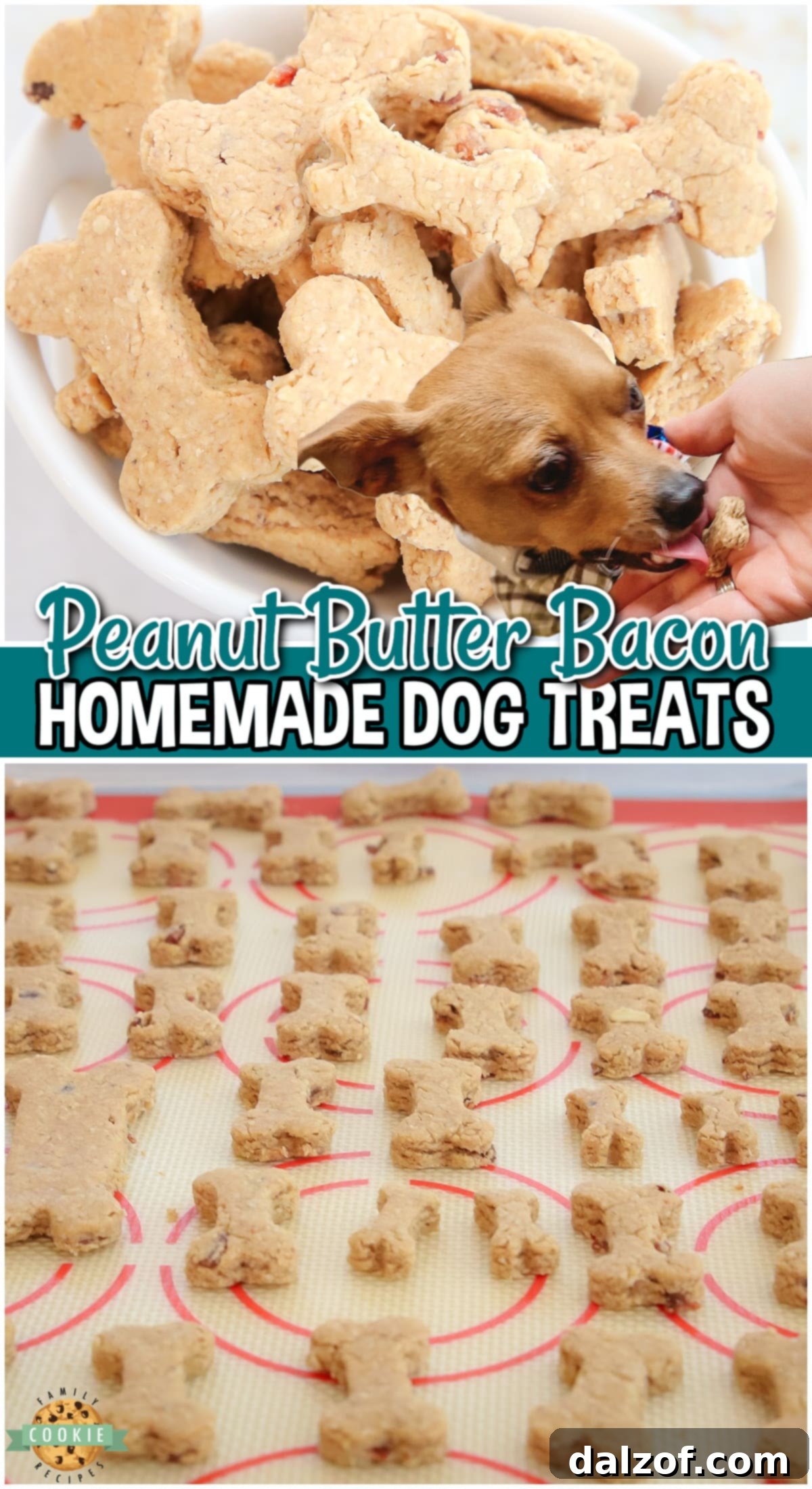 Tail-Wagging Peanut Butter Bacon Treats 8 Peanut Butter Bacon Dog Biscuits are simple treats your dog will LOVE! Made with homemade oat flour, combined with peanut butter & crumbled bacon for a protein packed dog treats that will be devoured!