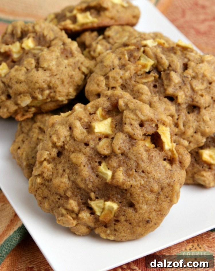 Apple Pumpkin Oatmeal Cookies