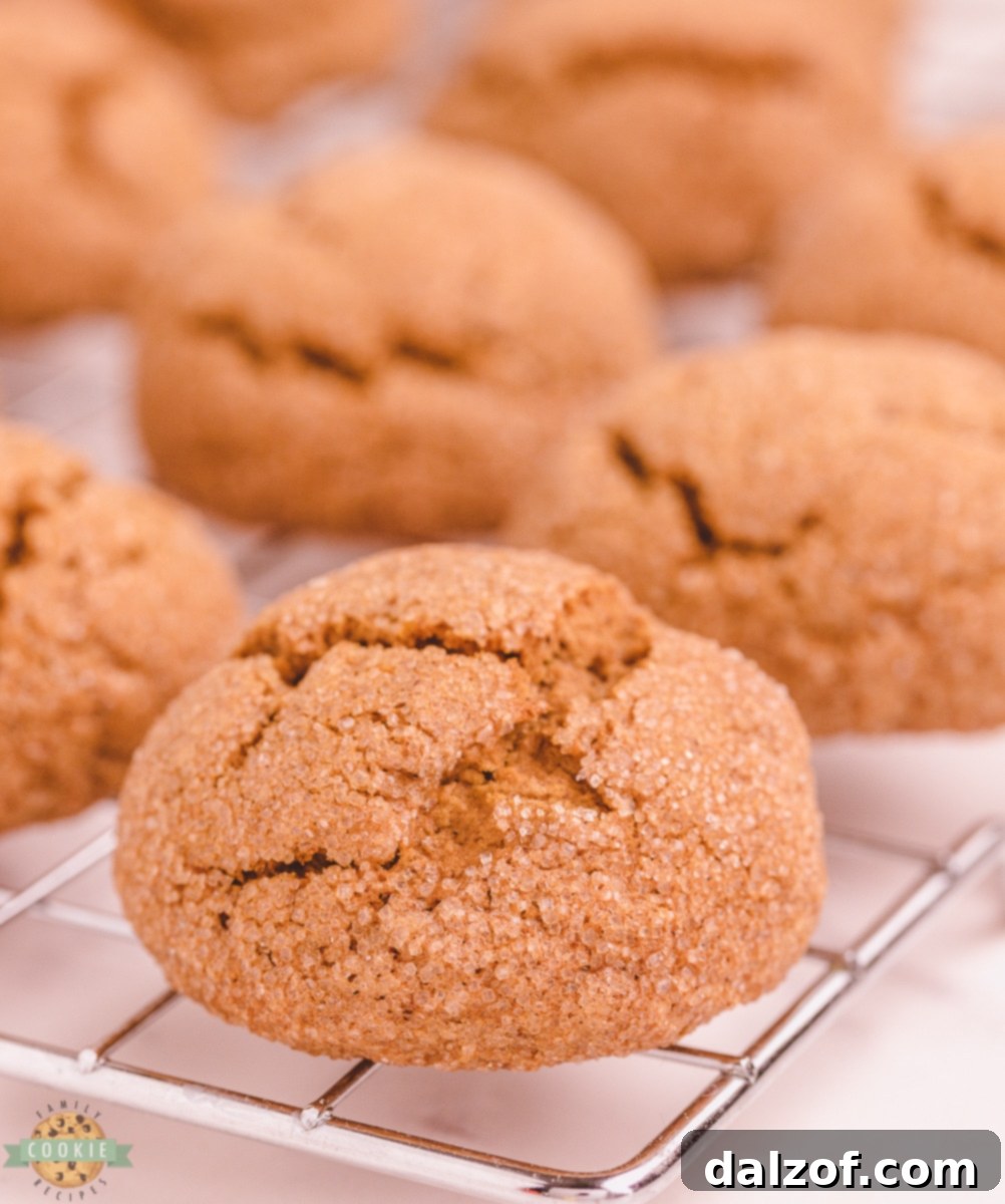 Pumpkin Gingersnap Cookies