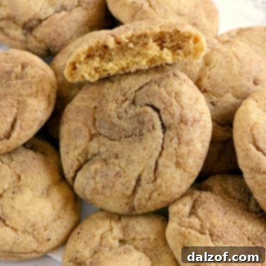 Collection of Pumpkin Cookie recipes
