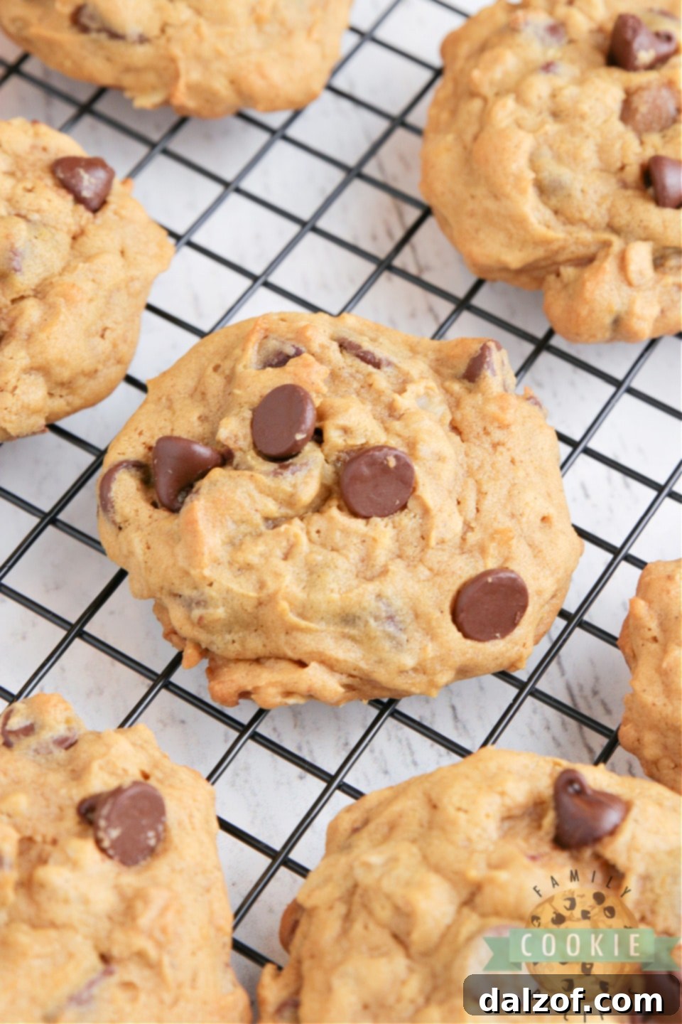 Pumpkin Oatmeal Chocolate Chip Cookies