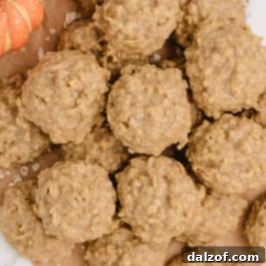 No Bake Pumpkin Cookies Recipe
