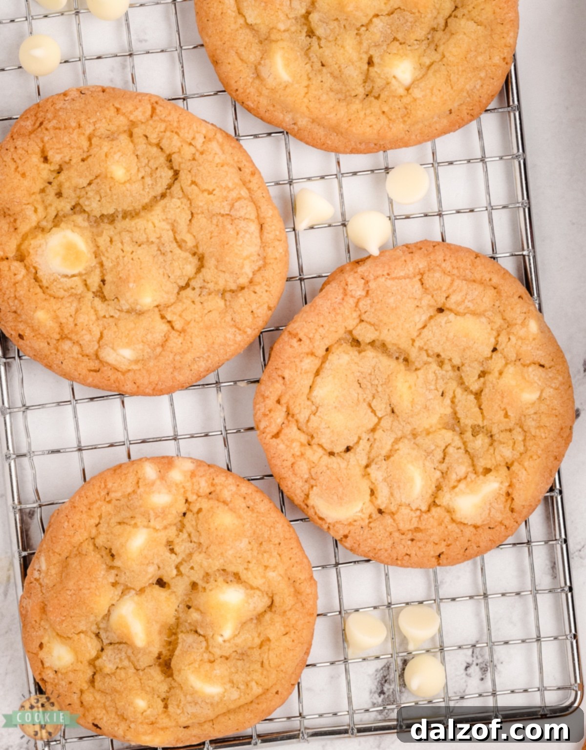 white chocolate cookies cooling on a rack