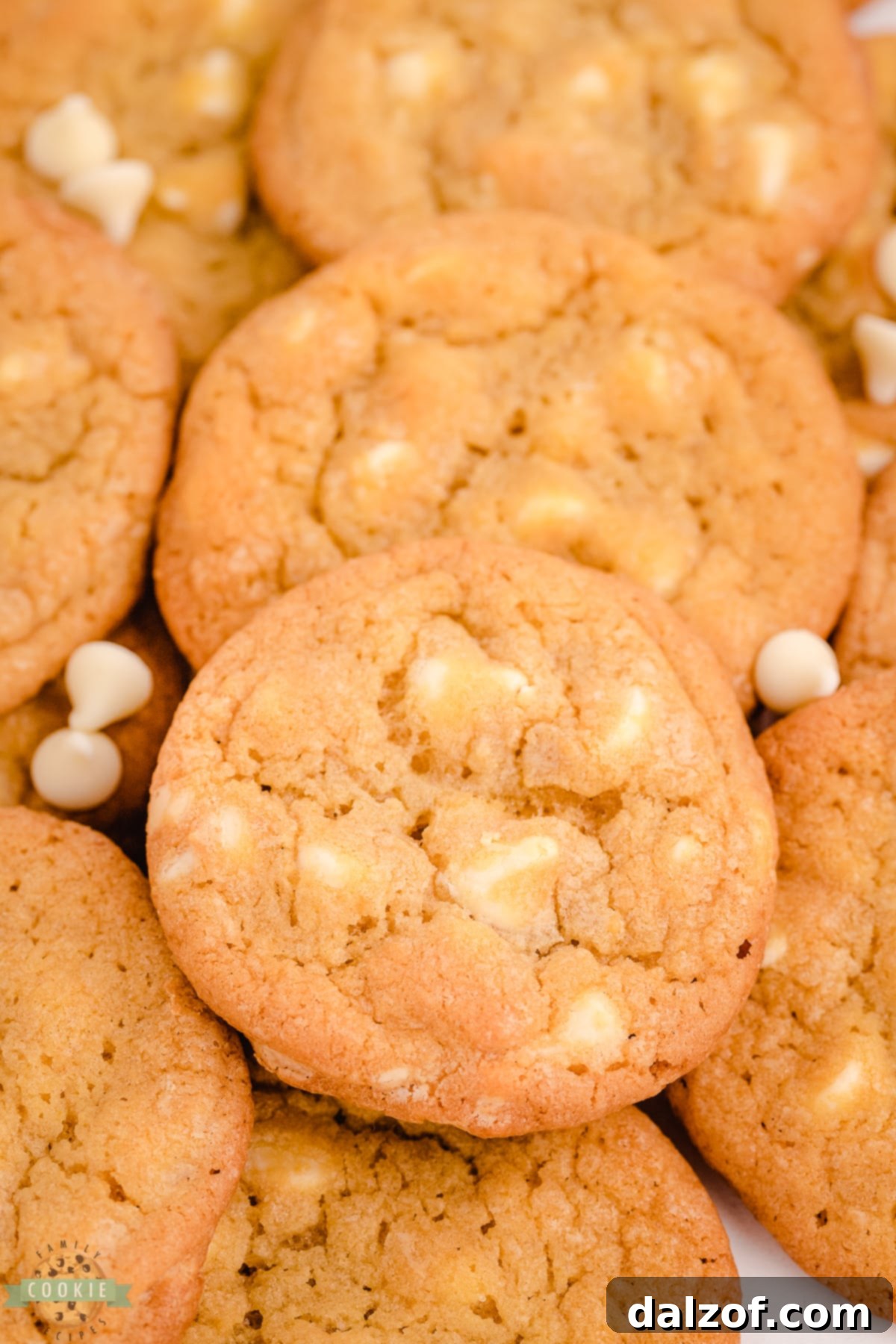 copycat Mrs. Fields White chocolate Chip cookies