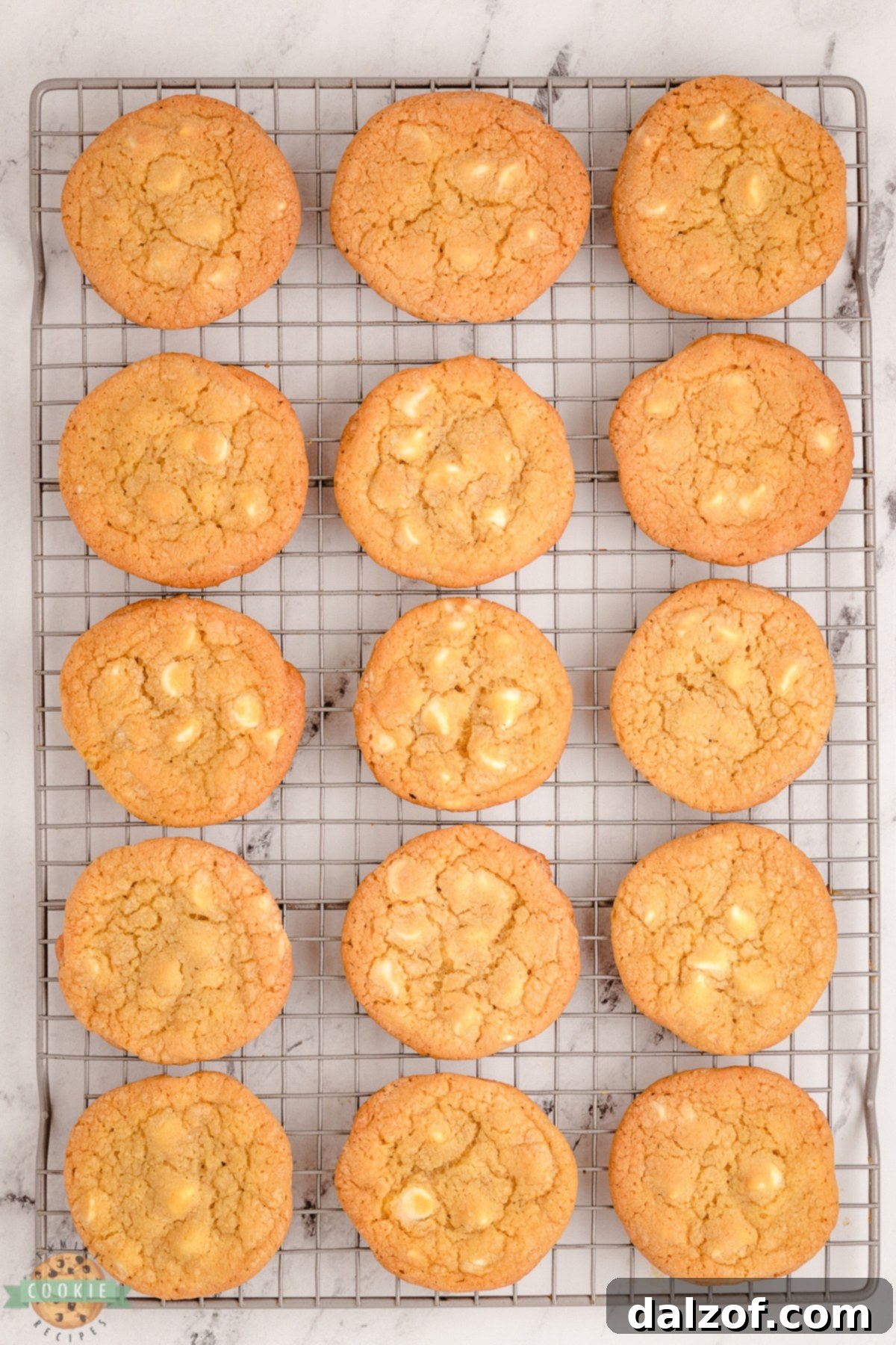 cooling rack with white chocolate chip cookies