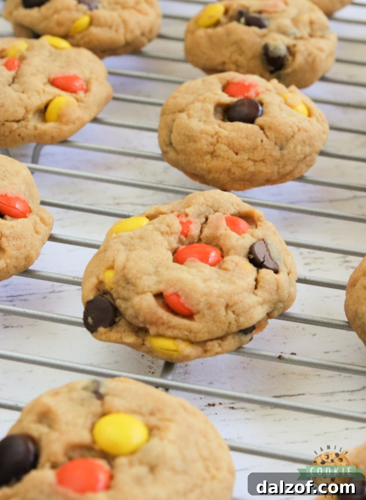 Cream cheese peanut butter cookies with Reese's pieces. 