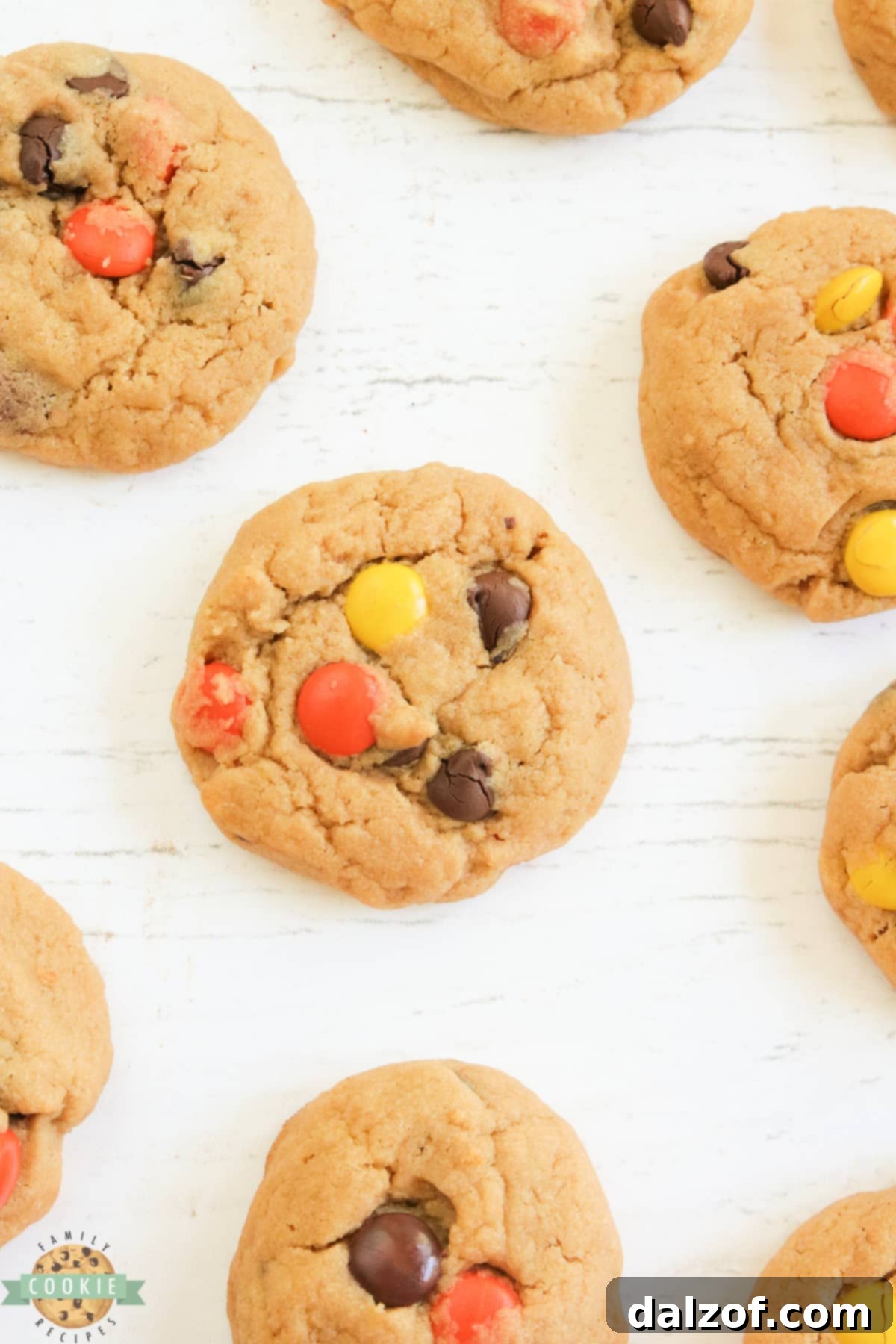 Cream Cheese Peanut Butter Cookies are soft, chewy and packed with peanut butter! Made with Reese's pieces, these peanut butter cookies turn out perfectly every time.