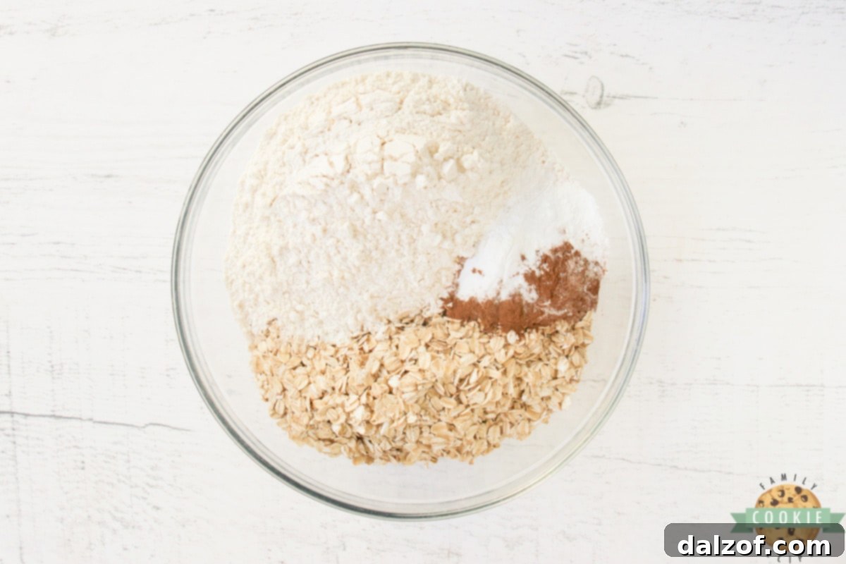 Dry ingredients in a large mixing bowl.