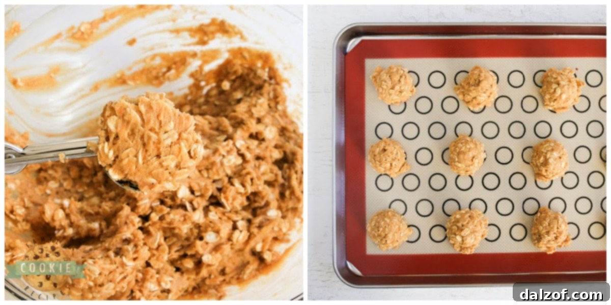 Scooping pumpkin oatmeal cookies with a cookie scoop.