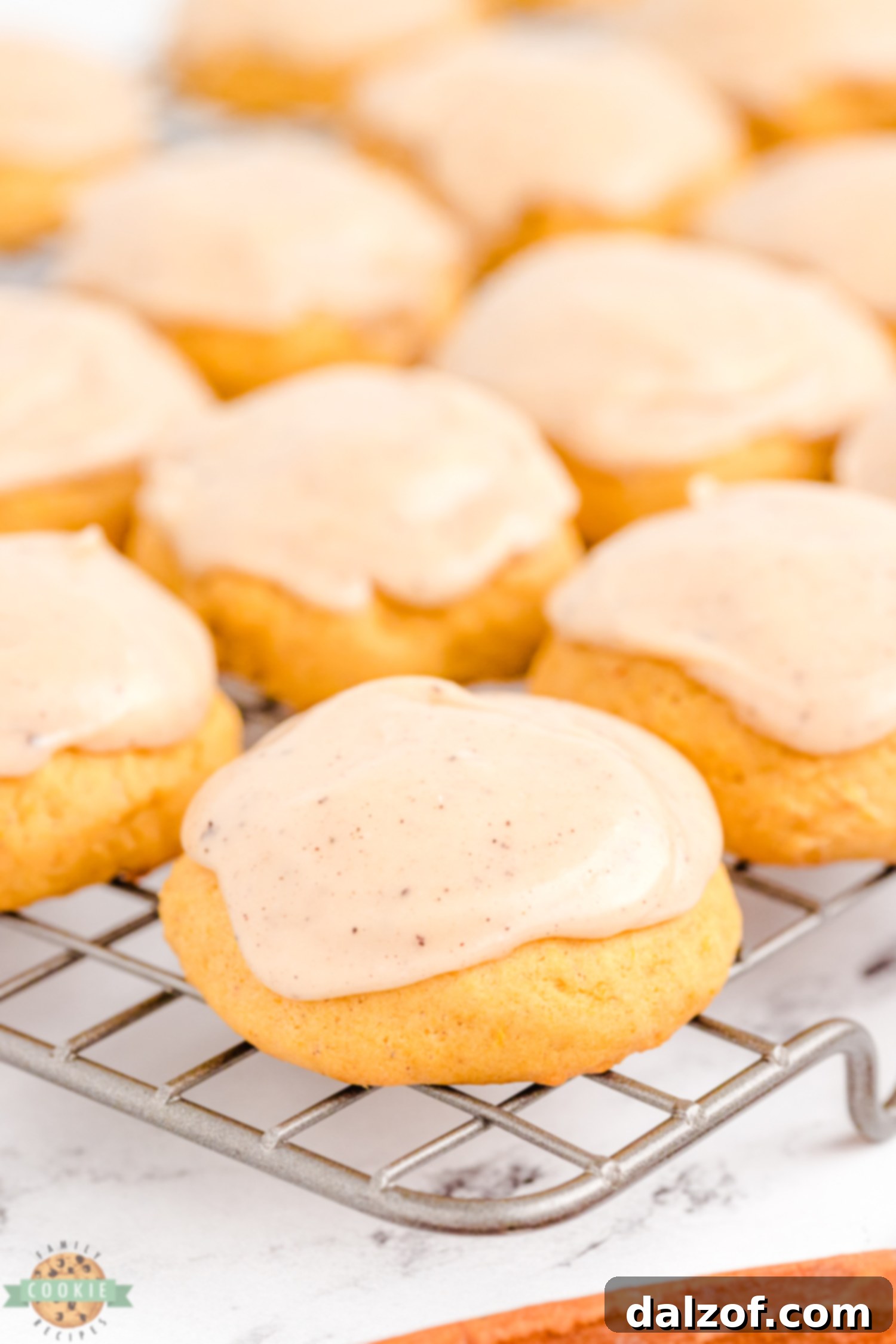 buttery soft pumpkin cookies