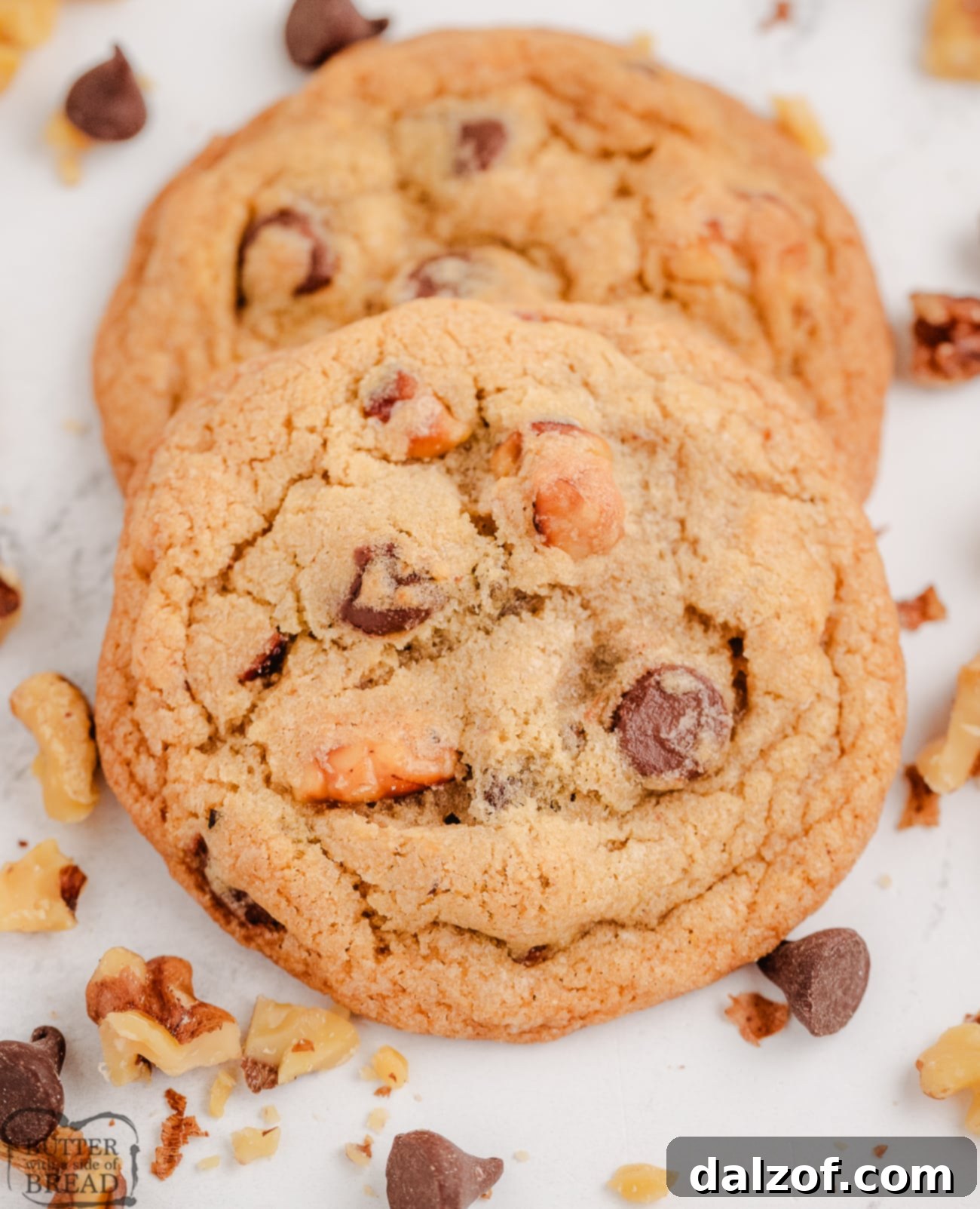 Gourmet Toasted Walnut Chocolate Chip Cookies 4 Close-up of freshly baked chocolate chip cookies with visible toasted walnuts, showcasing their irresistible texture.