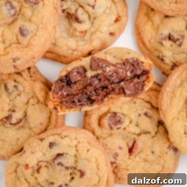 Gourmet Toasted Walnut Chocolate Chip Cookies 6 chocolate chip cookies with toasted walnuts