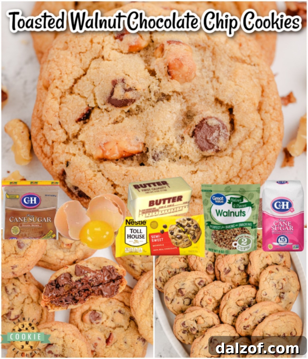 Gourmet Toasted Walnut Chocolate Chip Cookies 8 Classic Chocolate Chip Cookies get a flavorful twist with the addition of toasted walnuts! Delightful cookies with incredible flavor!
