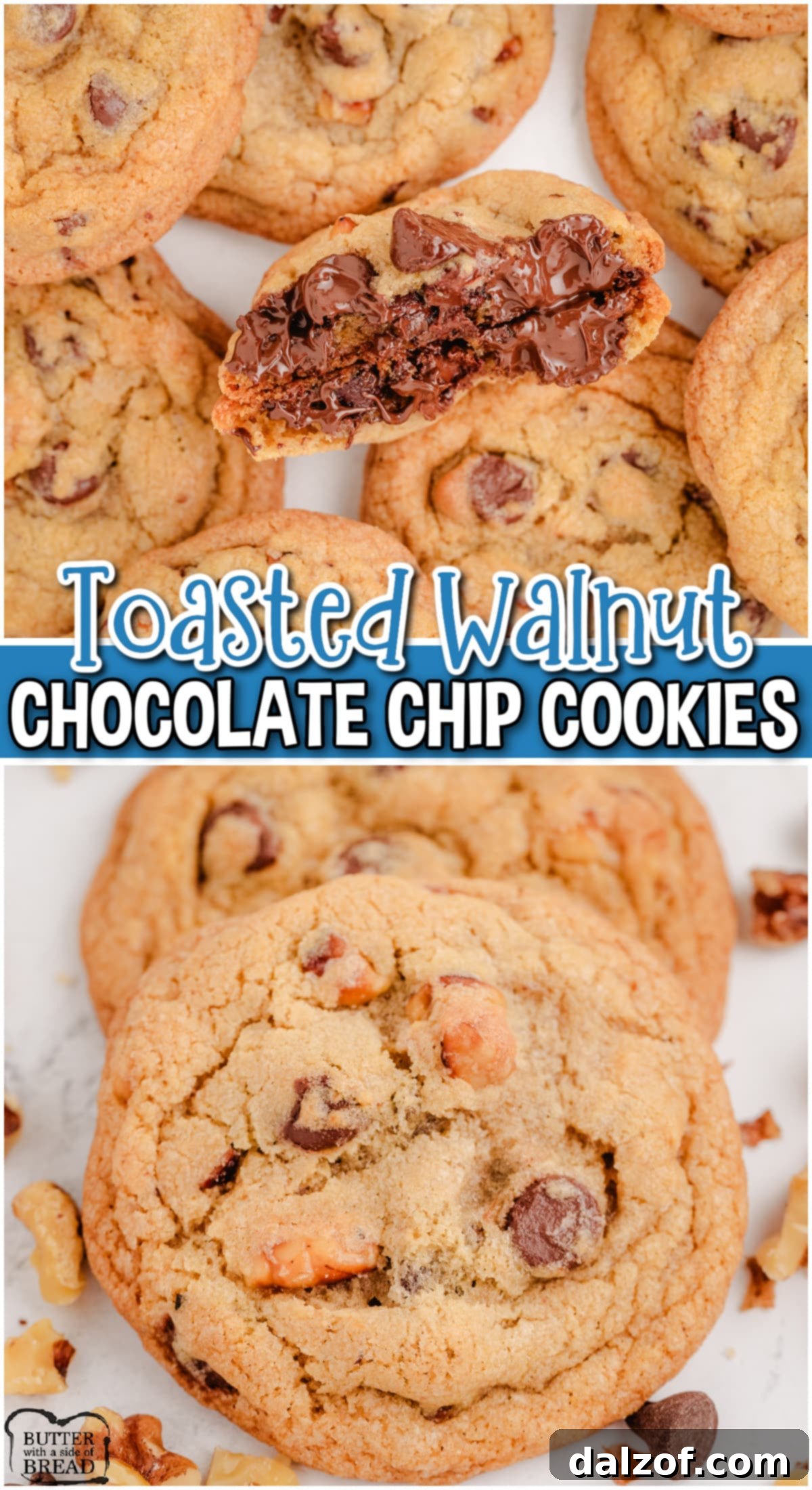 Gourmet Toasted Walnut Chocolate Chip Cookies 9 Classic Chocolate Chip Cookies get a flavorful twist with the addition of toasted walnuts! Delightful cookies with incredible flavor!
