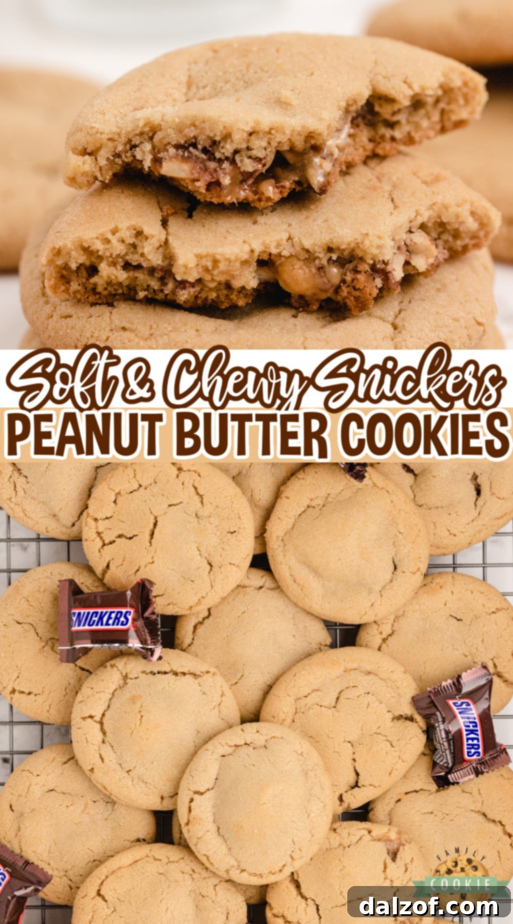 Close-up of a perfectly baked Snickers Peanut Butter Cookie, showing its soft texture