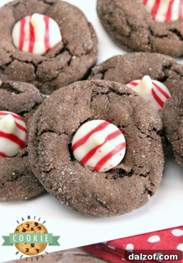 Soft and chewy Chocolate Peppermint Blossoms made with a cake mix and Hershey's Candy Cane Kisses