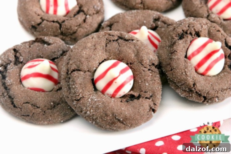 Close-up of baked Chocolate Peppermint Blossoms ready for holiday parties