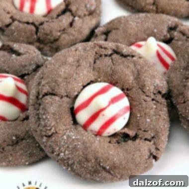 Final Chocolate Peppermint Blossoms with Candy Cane Kisses