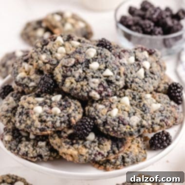 Delicious Blackberry Oatmeal Cookies