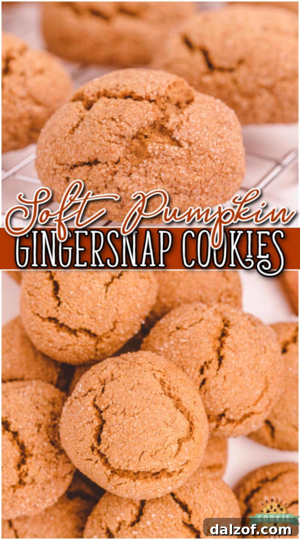 Soft Pumpkin Gingersnap Cookies are wonderfully spiced pumpkin cookies with amazing ginger flavor! Making these pumpkin ginger cookies is simple & everyone loves the soft, chewy texture.