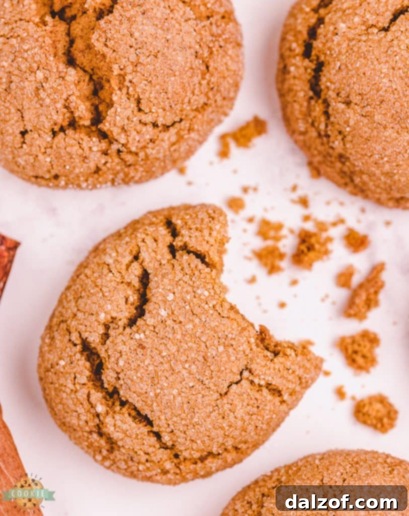 pumpkin gingersnap cookies with a bite