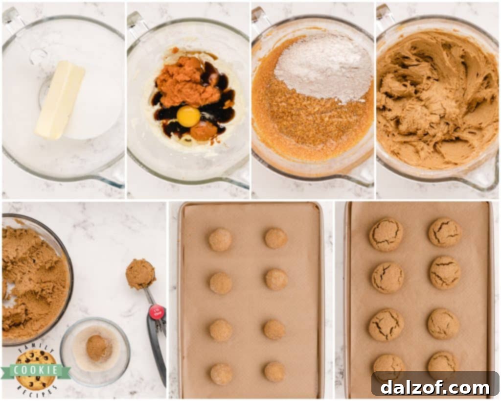 making soft chewy pumpkin ginger cookies