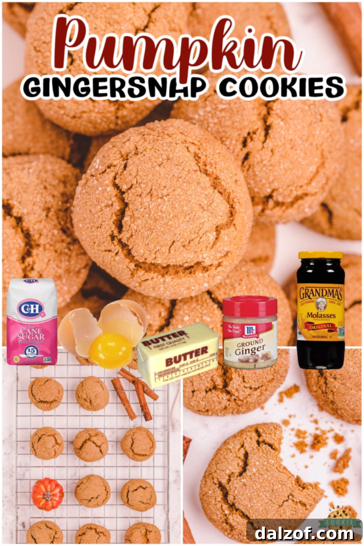 Soft Pumpkin Gingersnap Cookies are wonderfully spiced pumpkin cookies with amazing ginger flavor! Making these pumpkin ginger cookies is simple & everyone loves the soft, chewy texture.