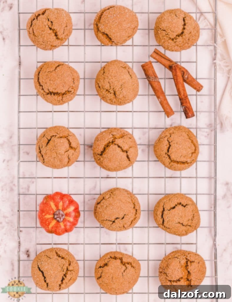 pumpkin cookies with ginger spice