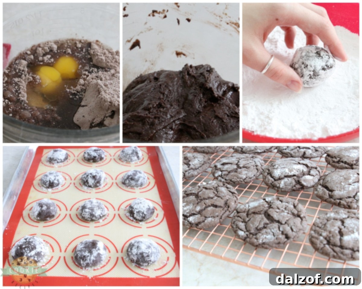how to make spiced chocolate crinkle cake mix cookies