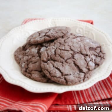 chocolate cake mix cookies with spices