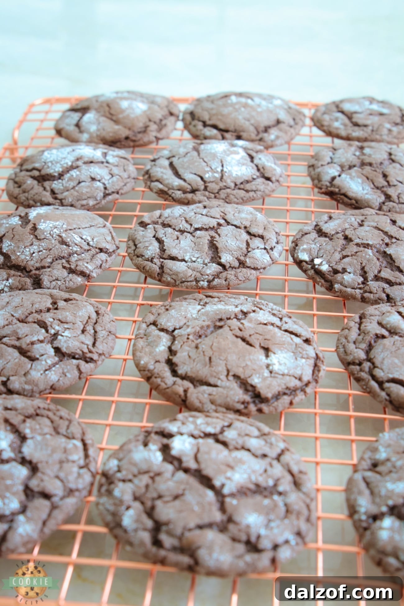 spiced chocolate crinkle cookies on a cooling rack