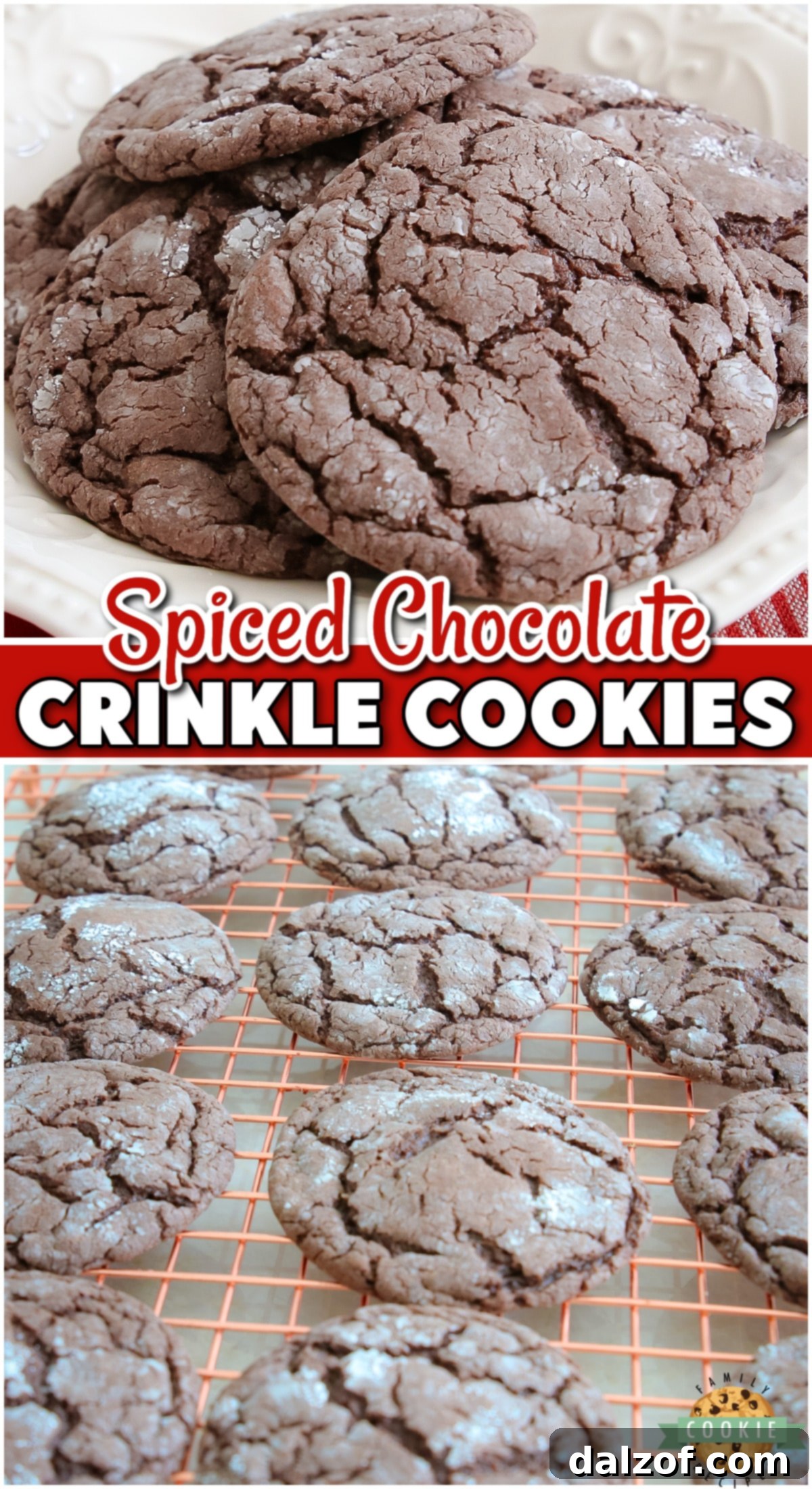 Spiced Chocolate Crinkle Cookies begin with a cake mix combined with a warm blend of ginger, cinnamon & cloves for a delicious chewy cookie with fabulous flavor.