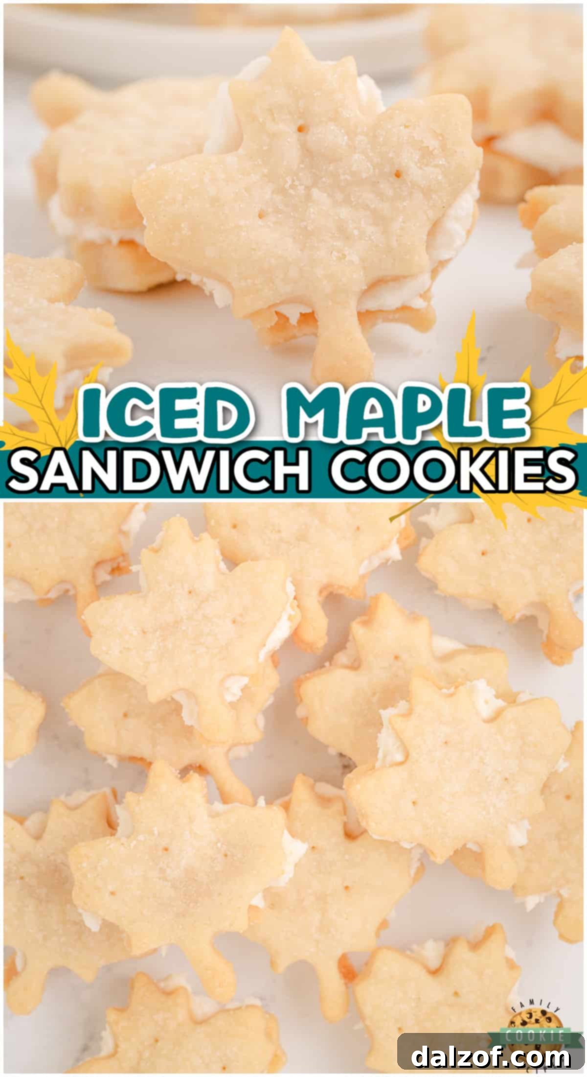 Maple Sandwich Cookies are simple buttery cookies rolled & cut with maple leaf cookie cutters and sandwiched with a silky maple buttercream!
