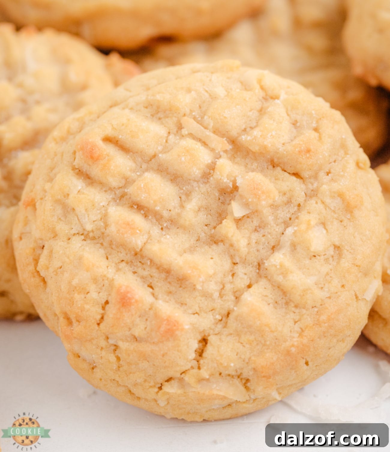 Close-up of round coconut cookies with distinctive fork marks, showcasing a perfectly golden bake.