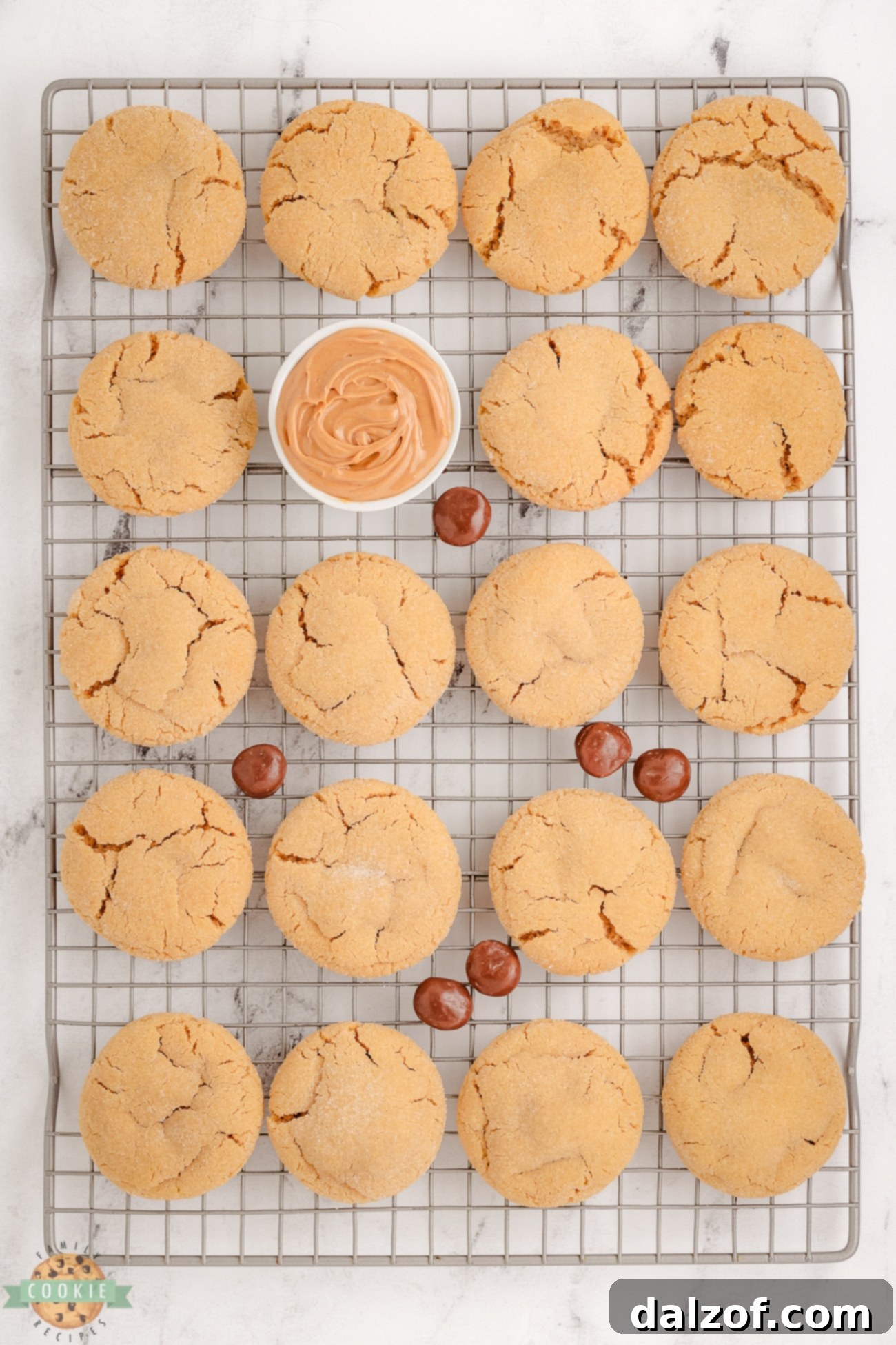 Close-up of baked Peanut Butter Surprise Cookies, showing the soft texture and potential gooey caramel from Milk Duds.