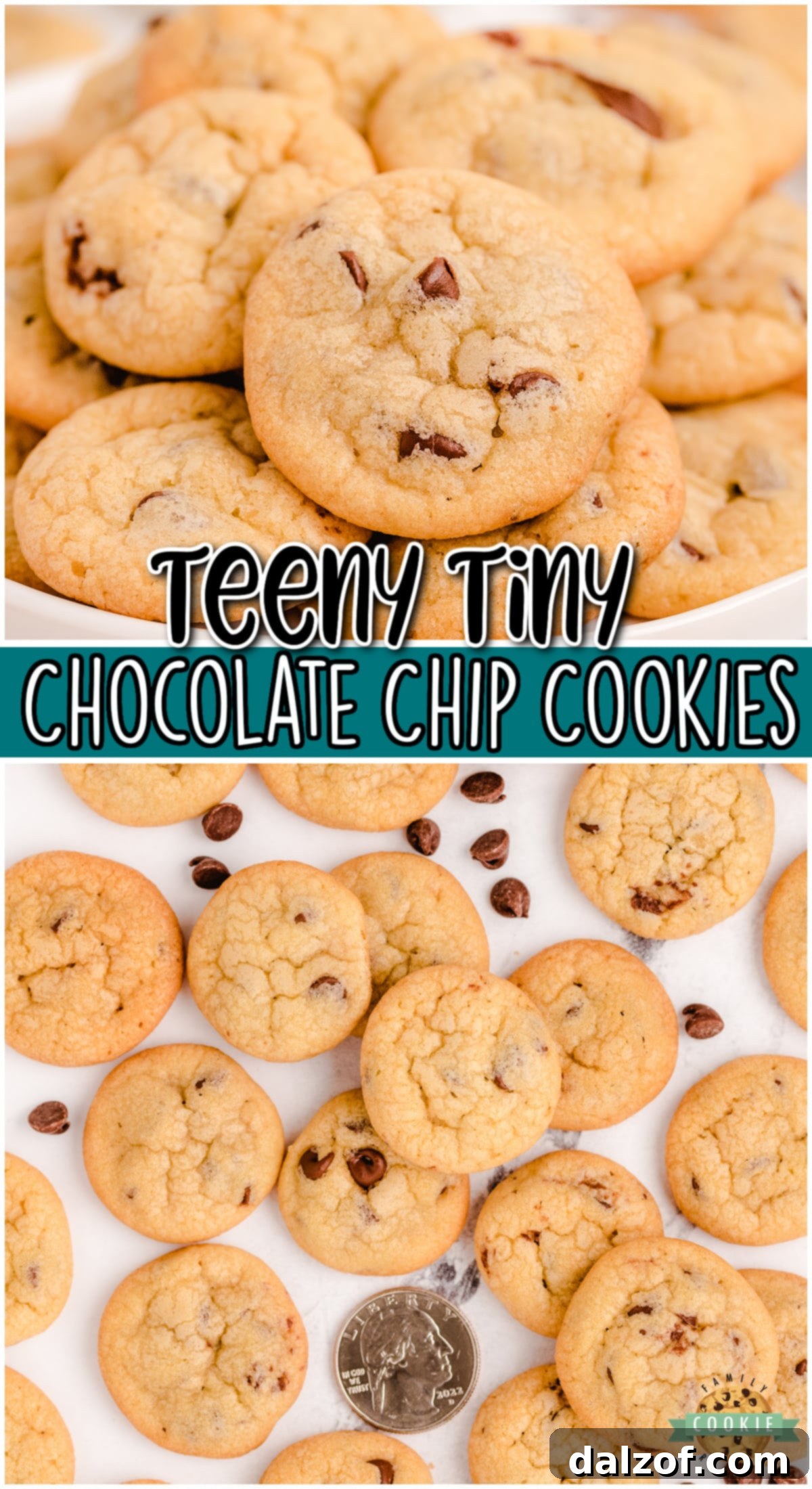 Mini Chocolate Chip Cookies are teeny tiny chocolate chip cookies the size of a quarter! Soft, chewy poppable cookies perfect for parties!