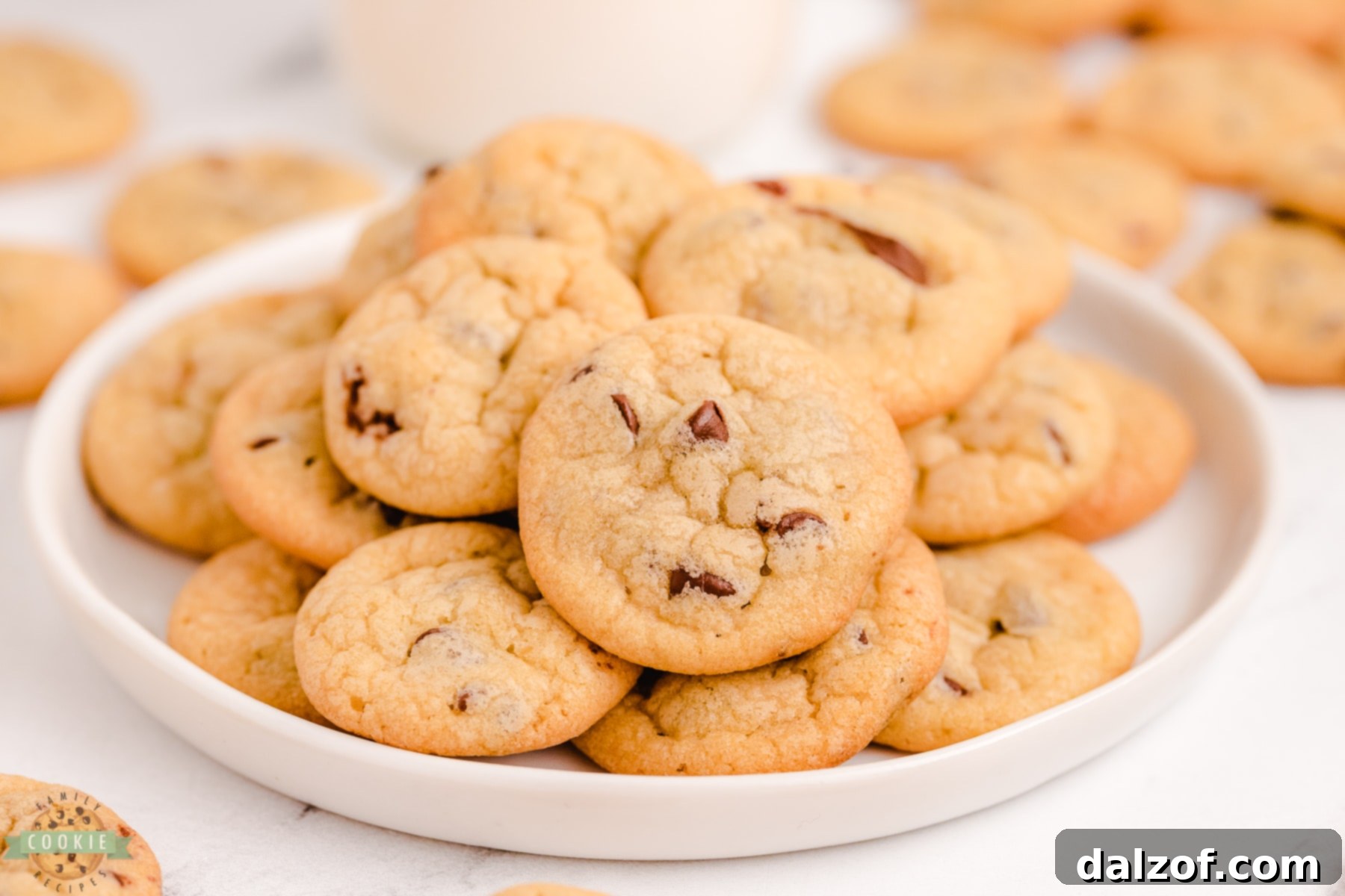 soft chewy tiny cookies, fresh from the oven, ready to be enjoyed