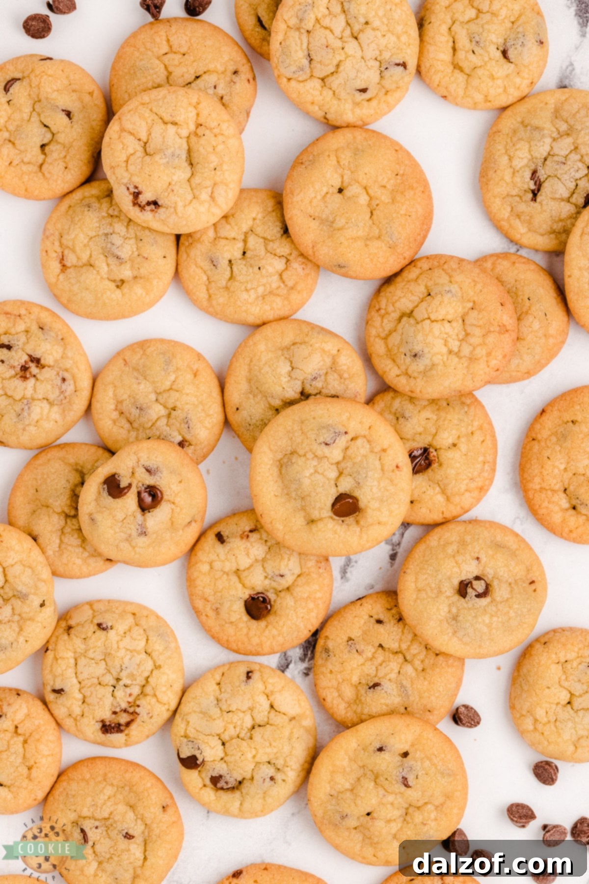 tiny chocolate chip cookies dough ready to be scooped onto a baking sheet