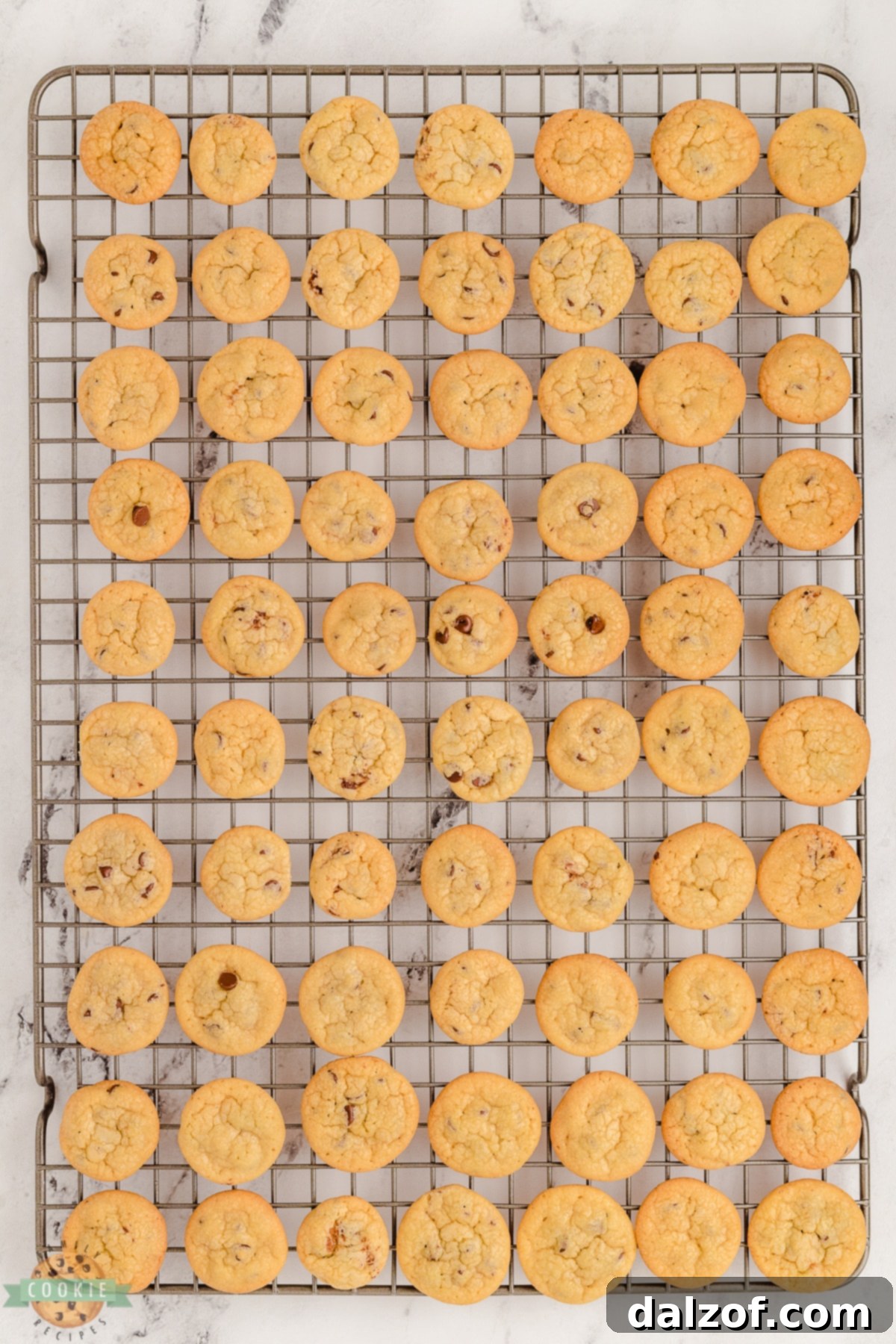 mini chocolate chip cookies cooling on a wire rack, ready to eat