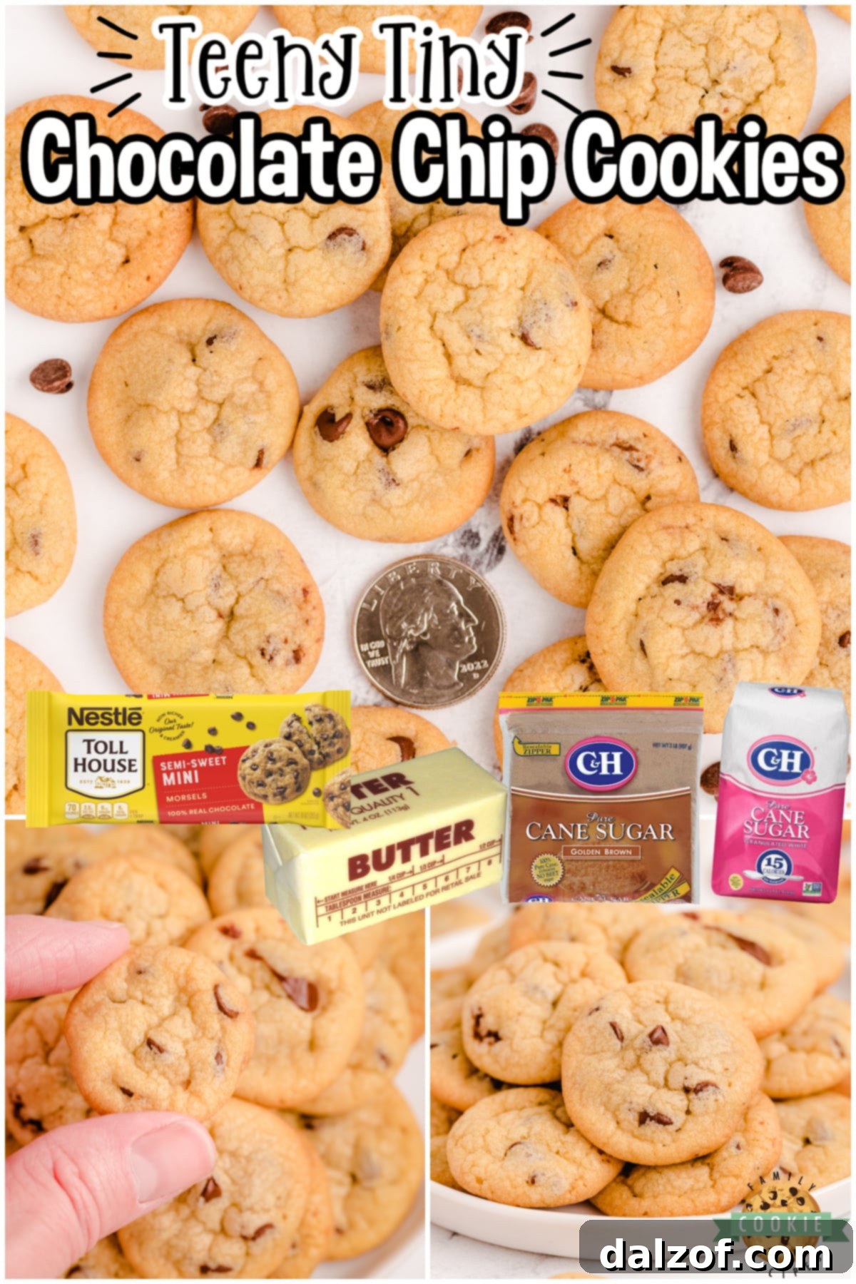 Mini Chocolate Chip Cookies are teeny tiny chocolate chip cookies the size of a quarter! Soft, chewy poppable cookies perfect for parties!